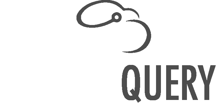 Service Query logo